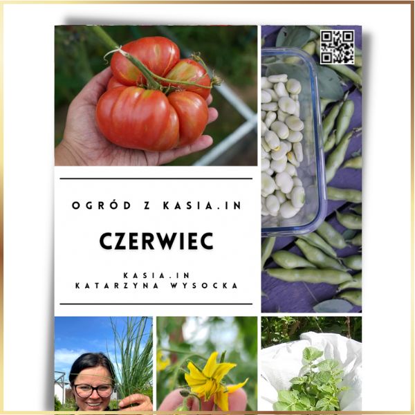 Ogród z Kasia.in - Czerwiec - E-Book