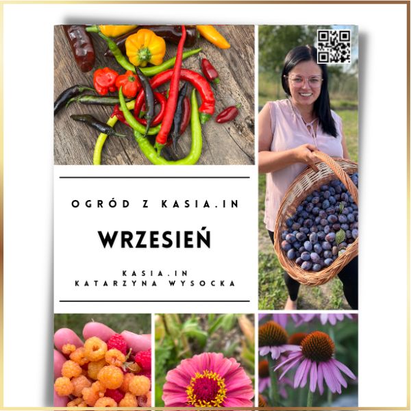 Ogród z Kasia.in - Wrzesień - E-Book