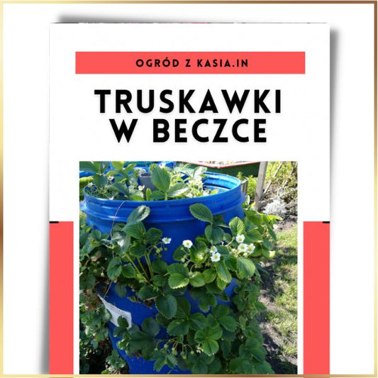 Truskawki w beczce - E-Book